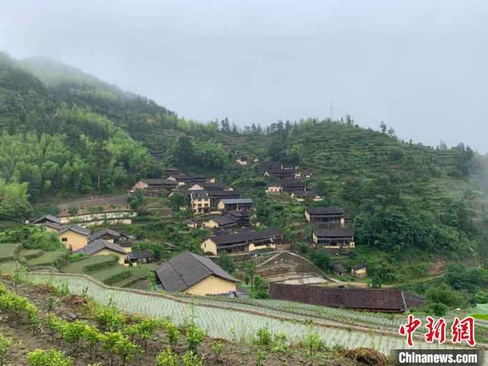 丽水的红色山村 奚金燕 摄 红绿共舞融合发展 浙江丽水开辟“两山”转化新通道