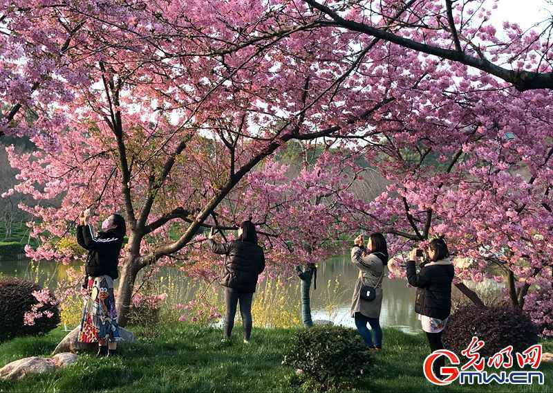 图片故事丨解封前的武汉有序重启，我们期待“你”光彩重生！